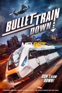 Bullet Train Down (2022) Hindi Dubbed