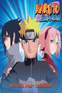 Naruto Shippuden (2024) Season 1 Hindi Web Series