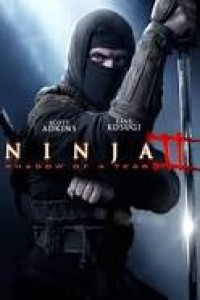 Ninja Shadow of a Tear (2013) Hindi Dubbed