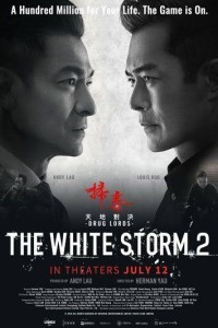 The White Storm 2 Drug Lords (2019) Hindi Dubbed